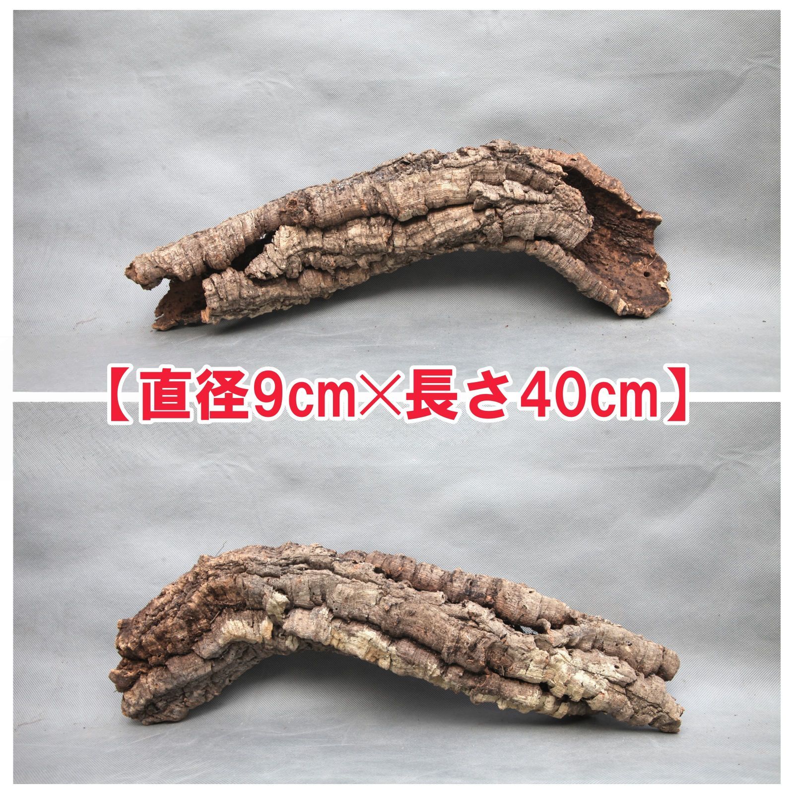 W527 ポルトガル産 キャノンコルク コルク樹皮 コルク板 バージン