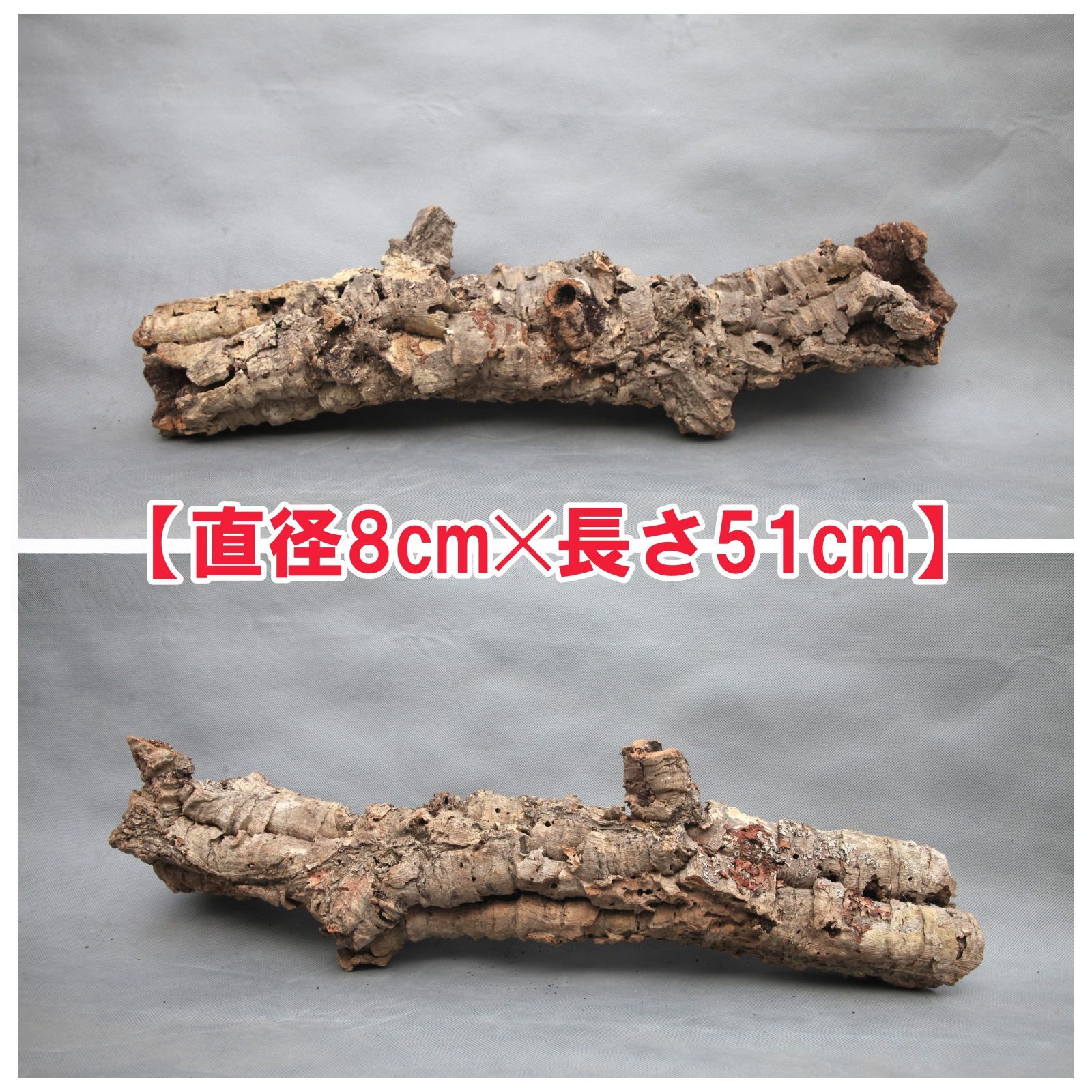 25D712　 ポルトガル産 キャノンコルク コルク樹皮 バージンコルク 25D712 ポルトガル産 キャノンコルク コルク樹皮 バージンコルク