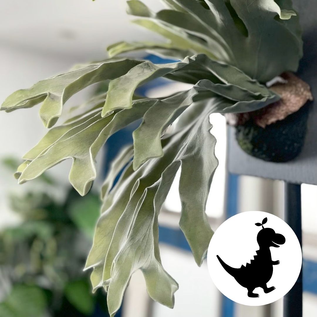 板付けコウモリラン ビカクシダ フェイクグリーン 人工植物 いなざうるす屋