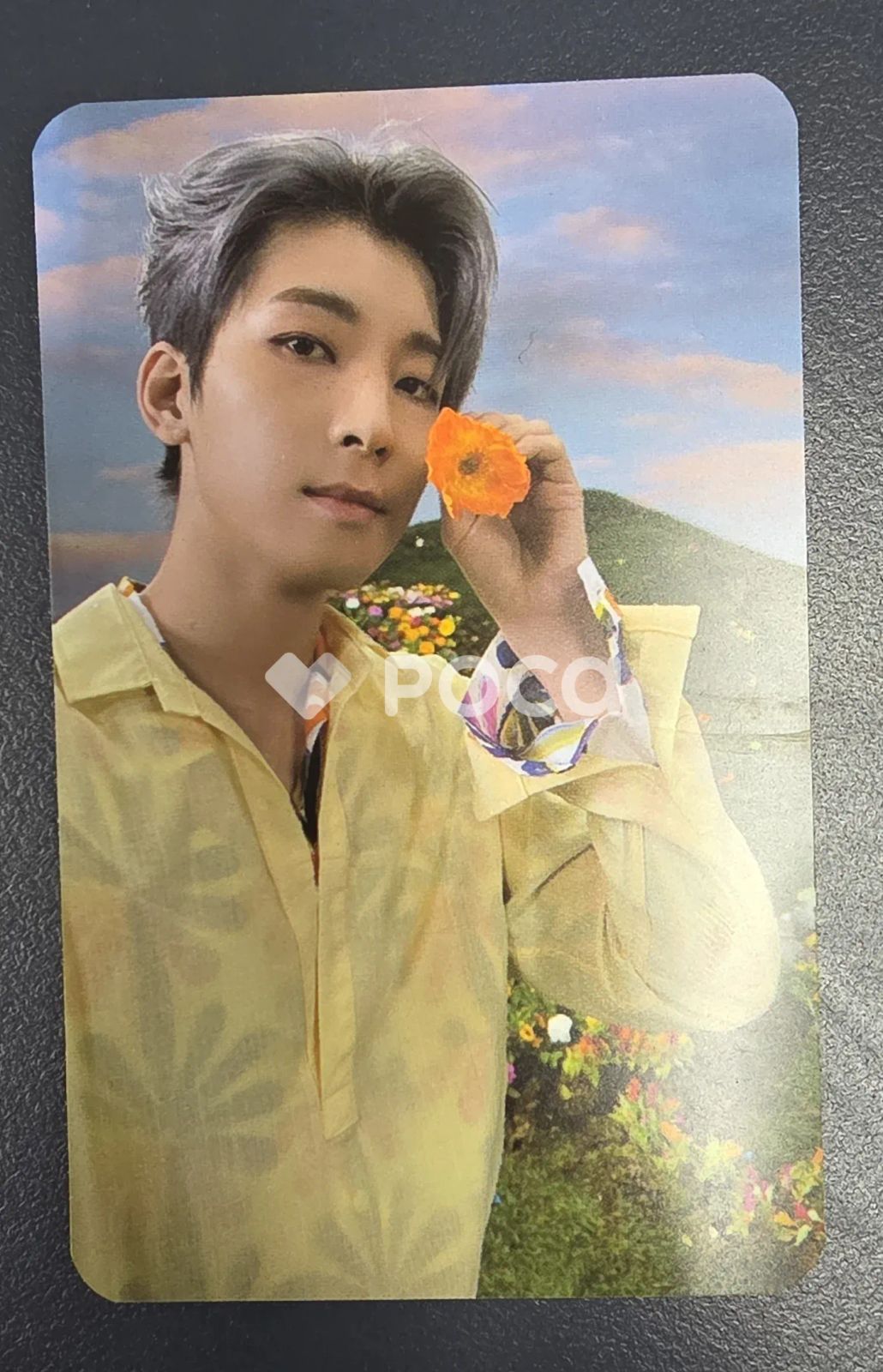 Seventeen ウォヌ セブチ SECTOR 17 POWERSTATION ラキドロ - メルカリ