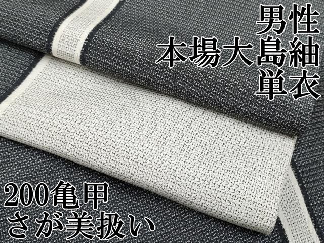 ▽ 上 男性 本場大島紬 単衣 200亀甲 間道 さが美扱い s 6