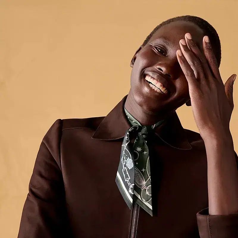 エルメス セラフェット ツイリー シルク レディース スカーフ 07