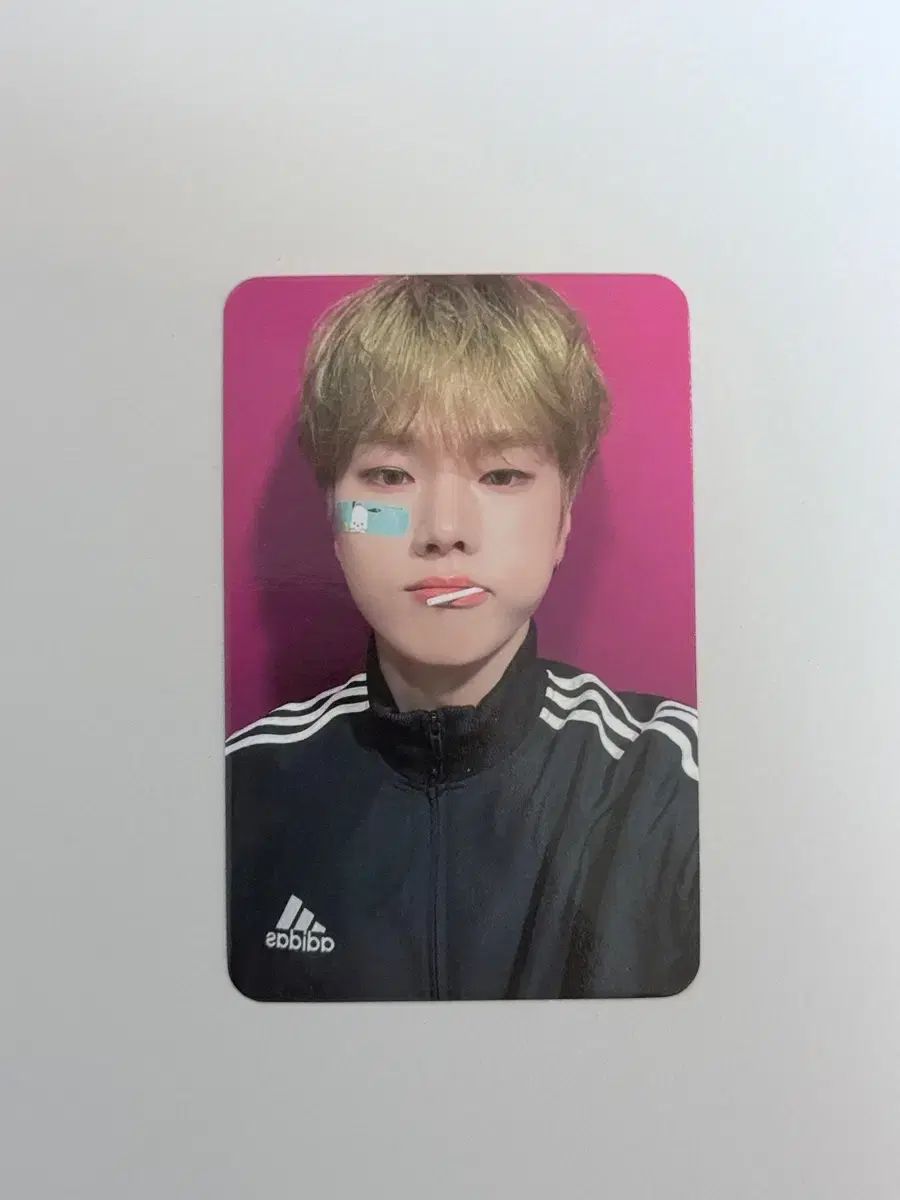 エクディズ(Xdinary Heroes) チョンス トゥシュッ MY MUSIC TASTE(MMT