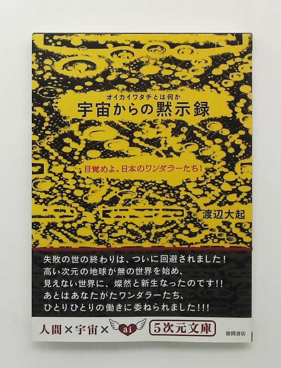 オイカイワタチとは何か 宇宙からの黙示録 目覚めよ 日本のワンダラーたち 文庫 渡辺大起