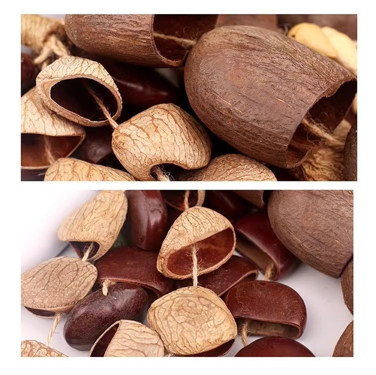 森の音を束ねた