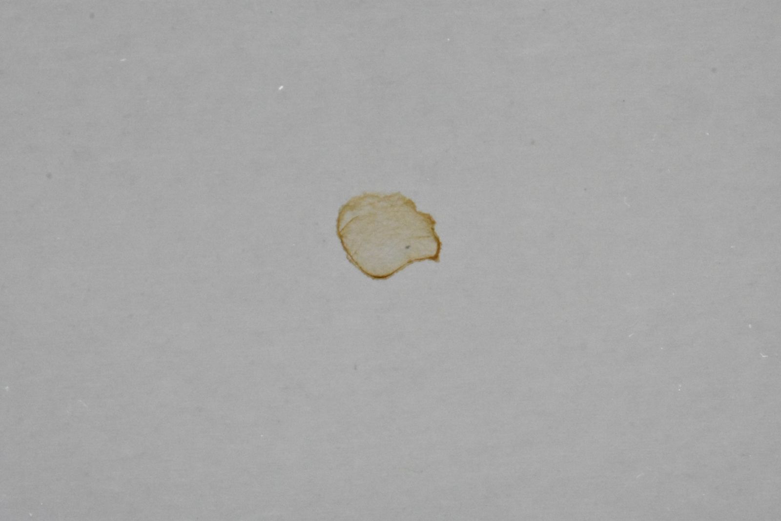 未使用 CANON 純正 トナー NPG-67 4色12本（シアン・マゼンタ