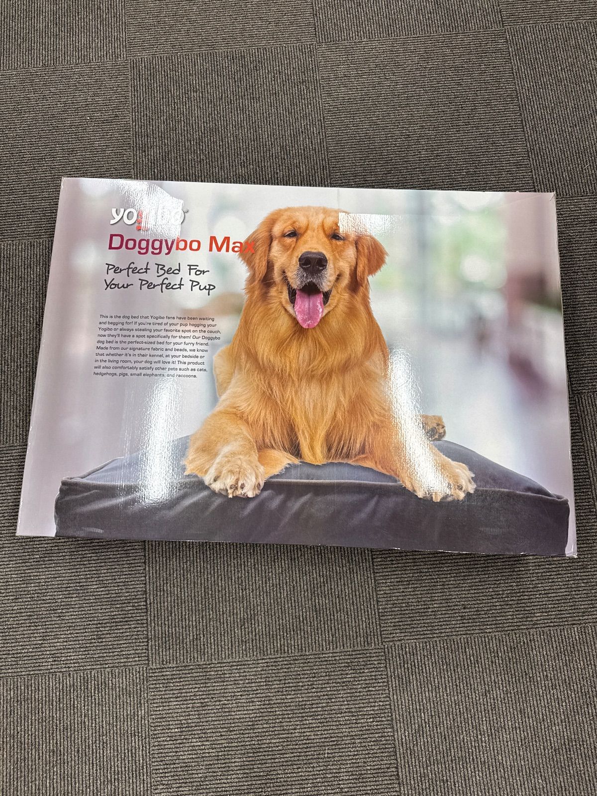 ドギボー マックス ネイビーブルーDoggybo Max