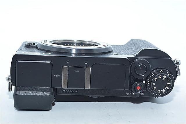 パナソニック ミラーレス一眼カメラ