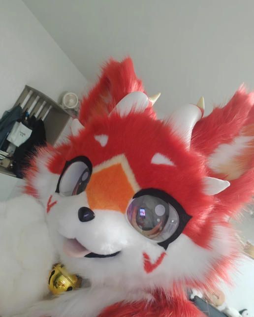 ファースーツ 着ぐるみセット NO.328 ドラゴン 犬 赤 ケモノ 全頭ヘッド ぬいぐるみ コスプレ コスチューム 一点物