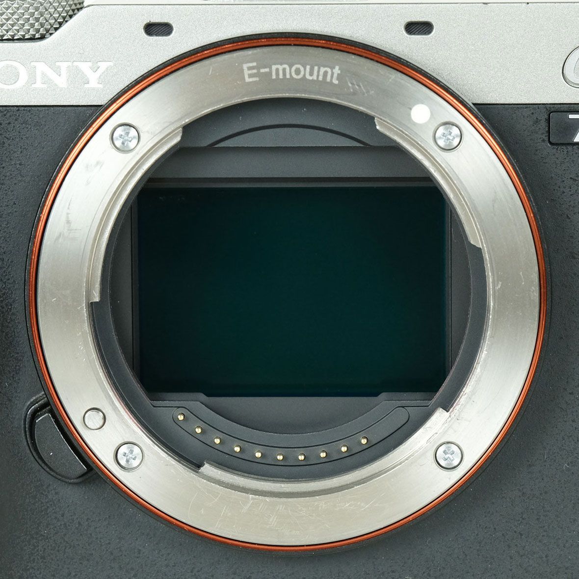 ボディ シルバー