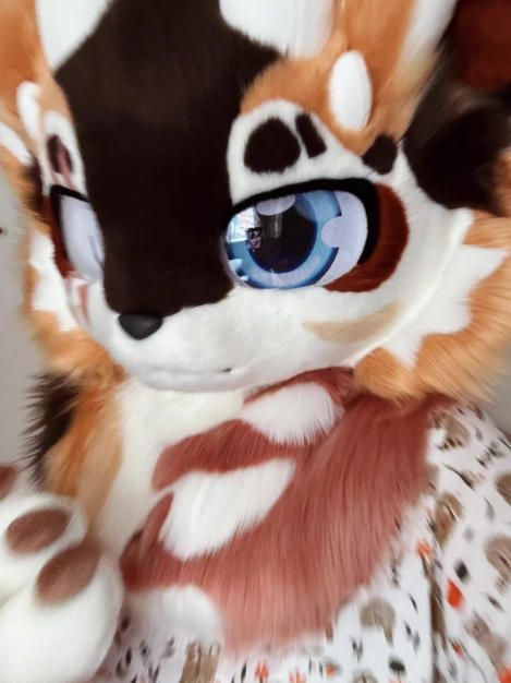 ファースーツ 着ぐるみセット NO.330 犬 茶色 ケモノ 全頭ヘッド ぬいぐるみ コスプレ コスチューム 一点物