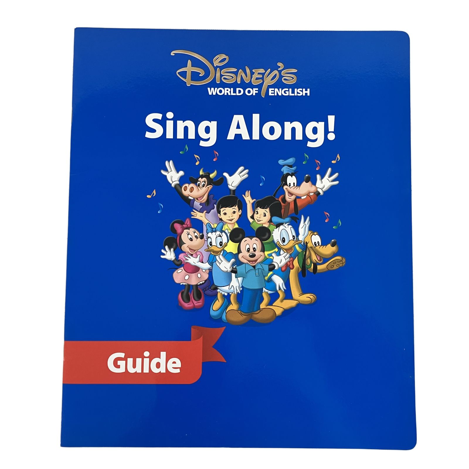 ディズニー シングアロング CD DVD 絵本　DWE 美品！2012年購入 DWE シングアロング 2012年頃 DVD版 ディズニー英語システム 教材 中古