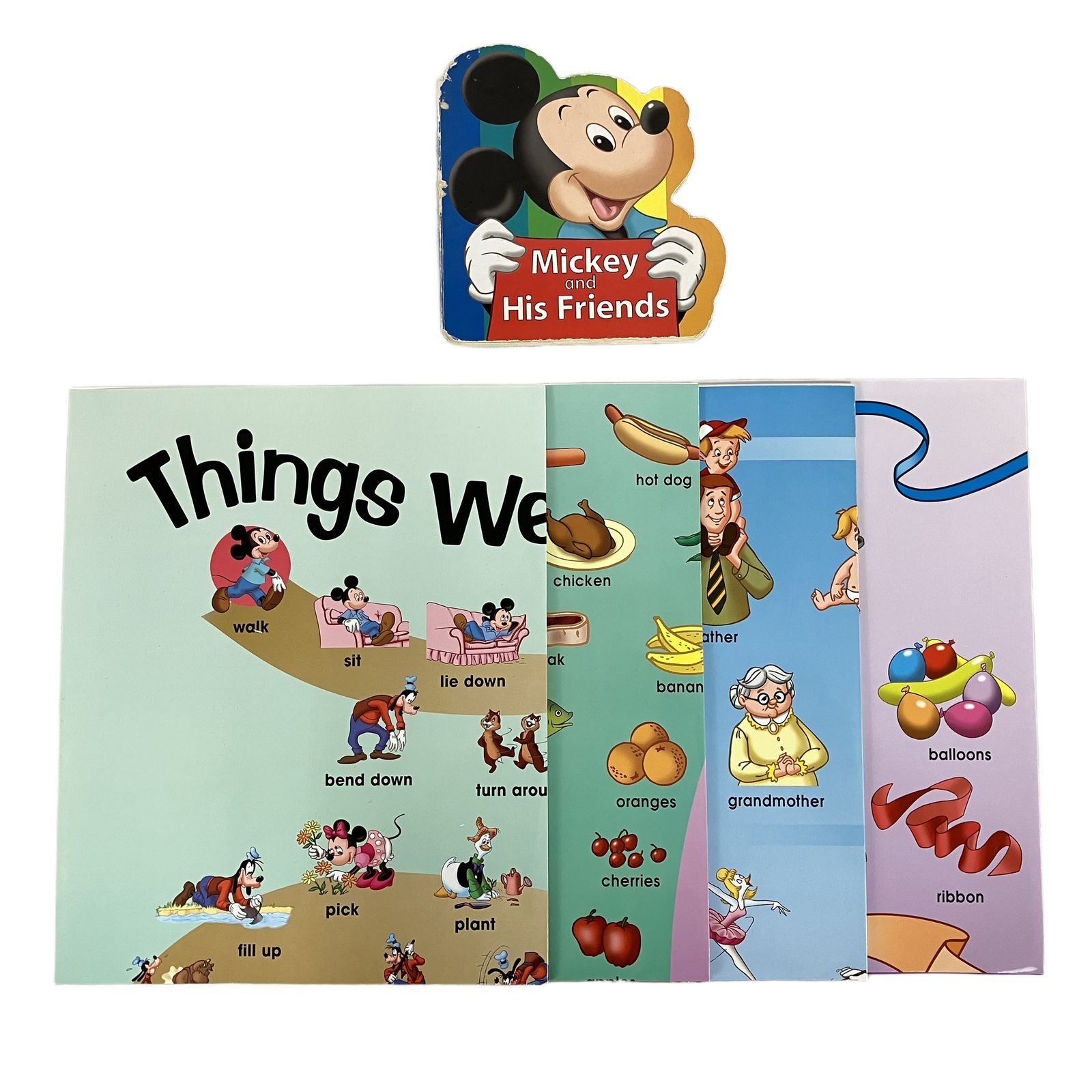 DWE シングアロング 2012年頃 DVD版 ディズニー英語システム 教材 中古