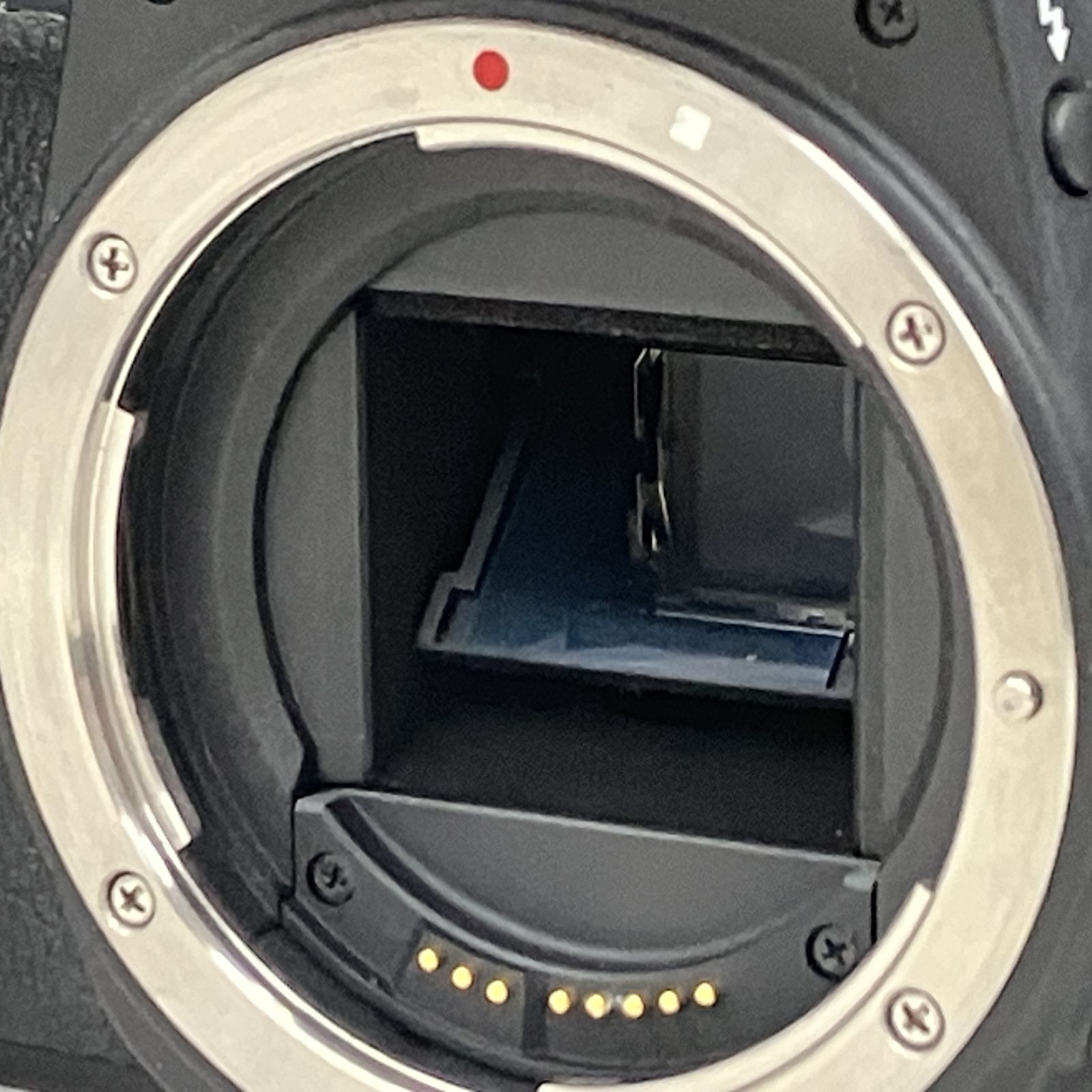 ボディ デジタル