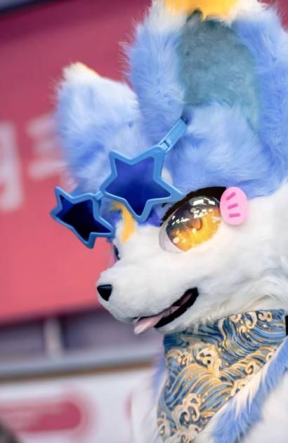 ファースーツ 着ぐるみセット NO 331 犬 青 ブルー ケモノ 全頭ヘッド ぬいぐるみ コスプレ コスチューム 一点物