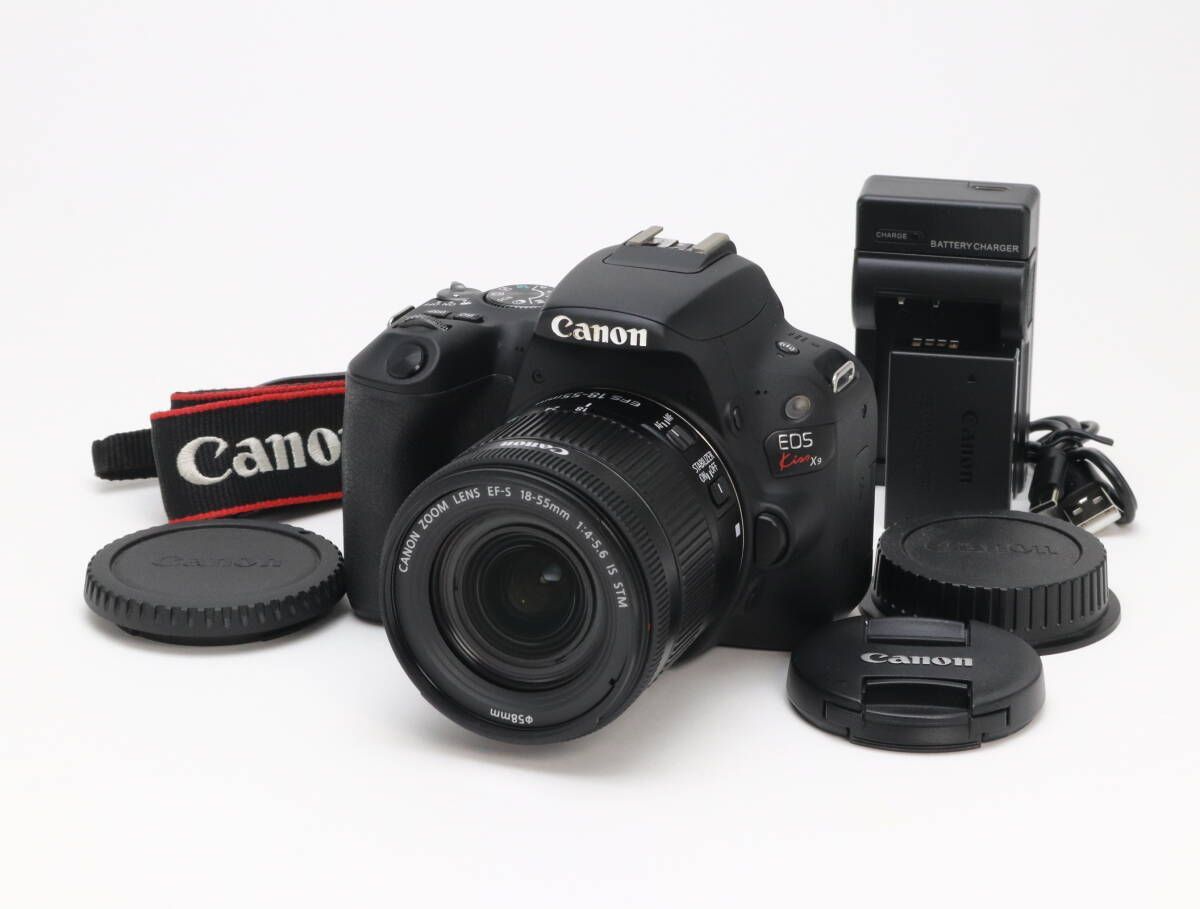 AB Canon キヤノン EOS Kiss X 9 EF-S 18-55 mm F 4-5.6 IS STM レンズキット シャッター数 2 初期不良 対応 212-123