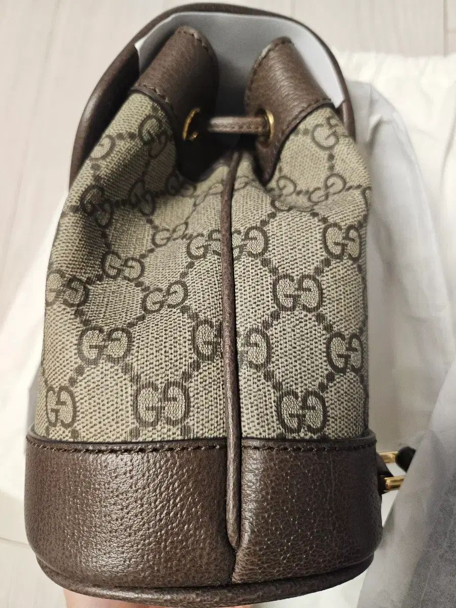 グッチ オフィディア