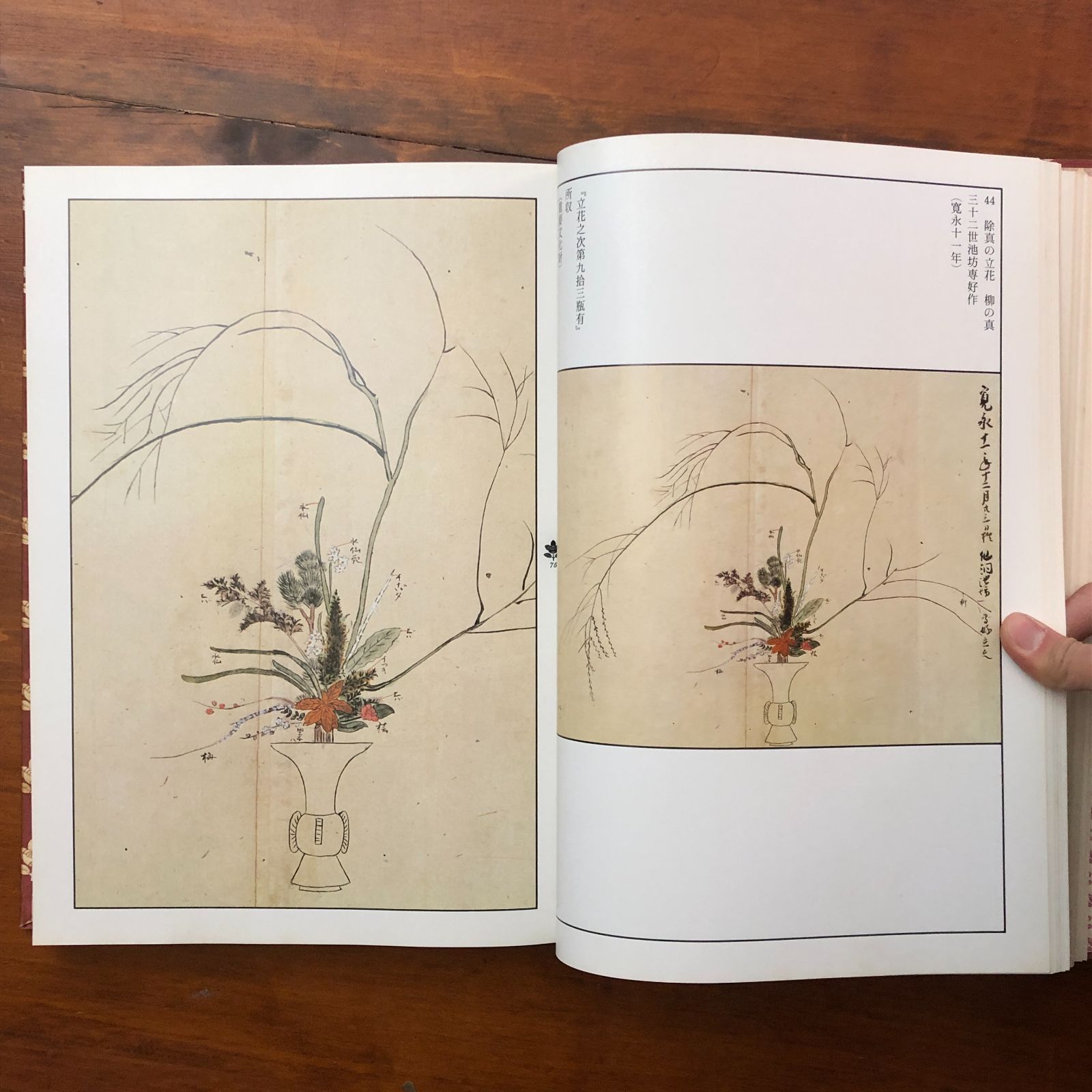 【状態良好】図録 華道 池坊歴代家元花伝 池坊専永 定価35000円 大型豪華書 状態良好】図録 華道 池坊歴代家元花伝 池坊専永 定価35000円 大型豪華