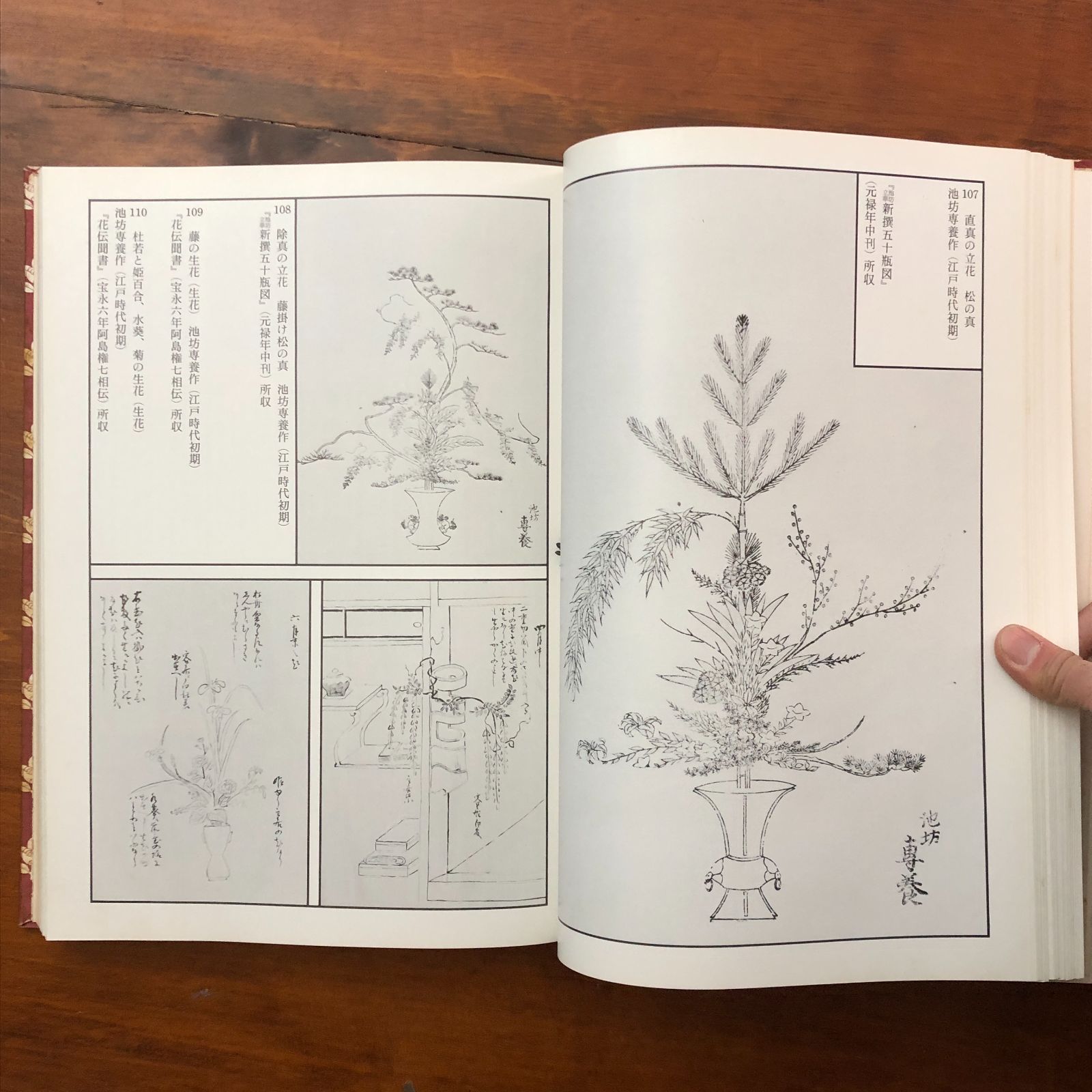池坊歴代家元花伝 池坊専永 講談社 昭和51年3月25日 第1刷 昭和51年8月