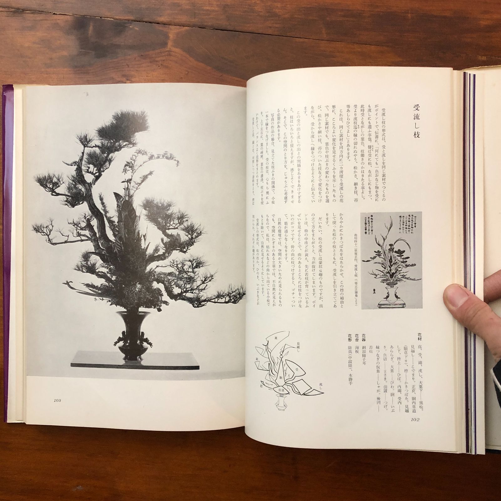立華 藤原幽竹 主婦の友社 昭和42年1月14日 発行 昭和45年2月25日 9版