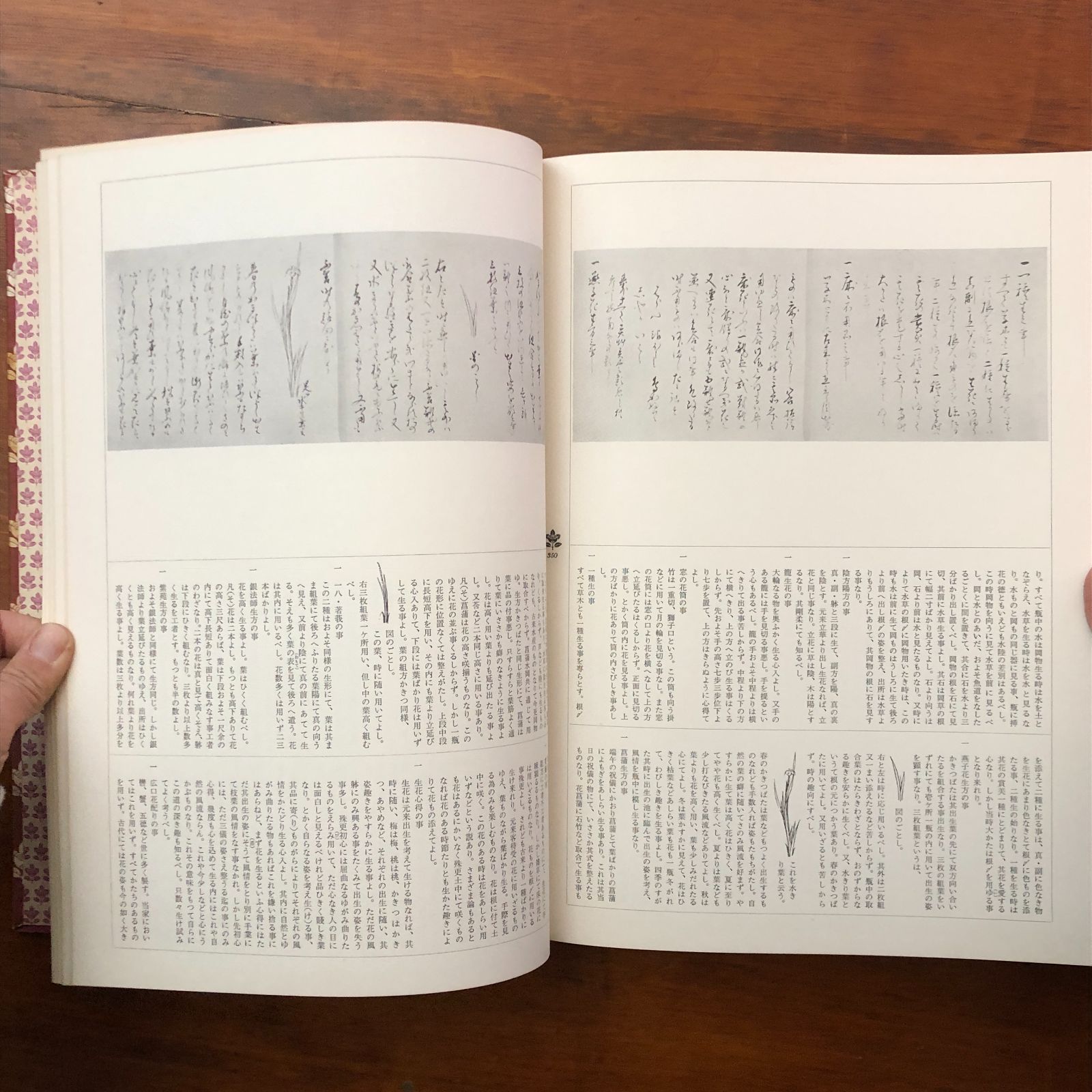 池坊歴代家元花伝 池坊専永 講談社 昭和51年3月25日 第1刷 昭和51年8月