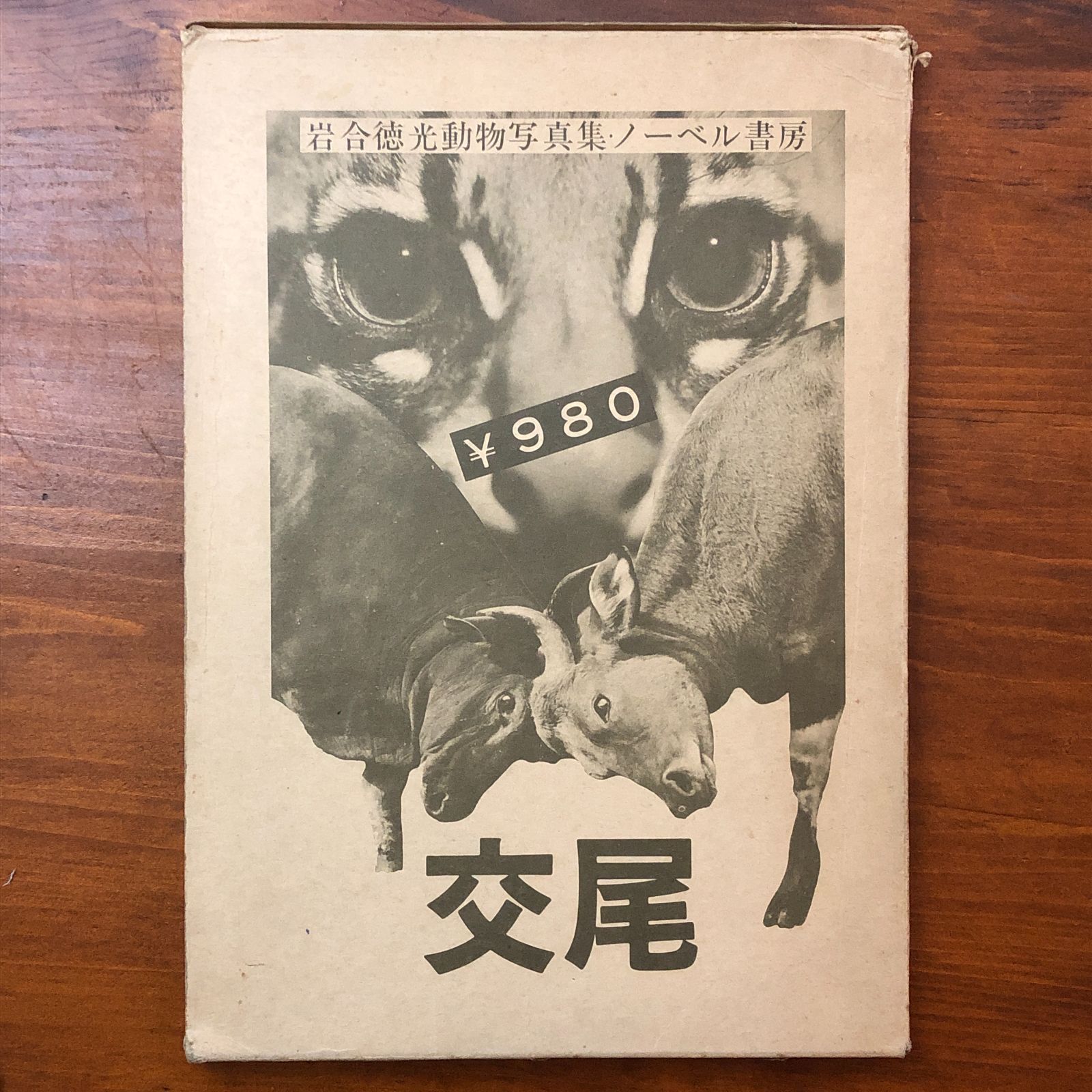 岩合徳光動物写真集 岩合徳光 ノーベル書房 1970年 20日 動物写真|自然|野生|動物図鑑|ネイチャー|写真集|動物学|美術書|昭和|自然史 S 2 F 8 K 4 aa 8はynm 1