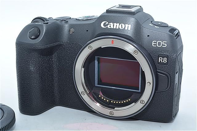 593 級 ショット数1000回以下 Canon EOS R 8 ミラーレスカメラ