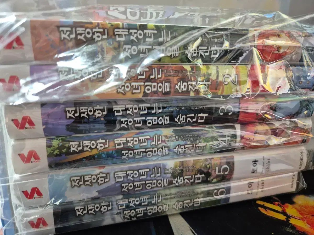 転生したデソン女は聖女であることを隠す 1 6