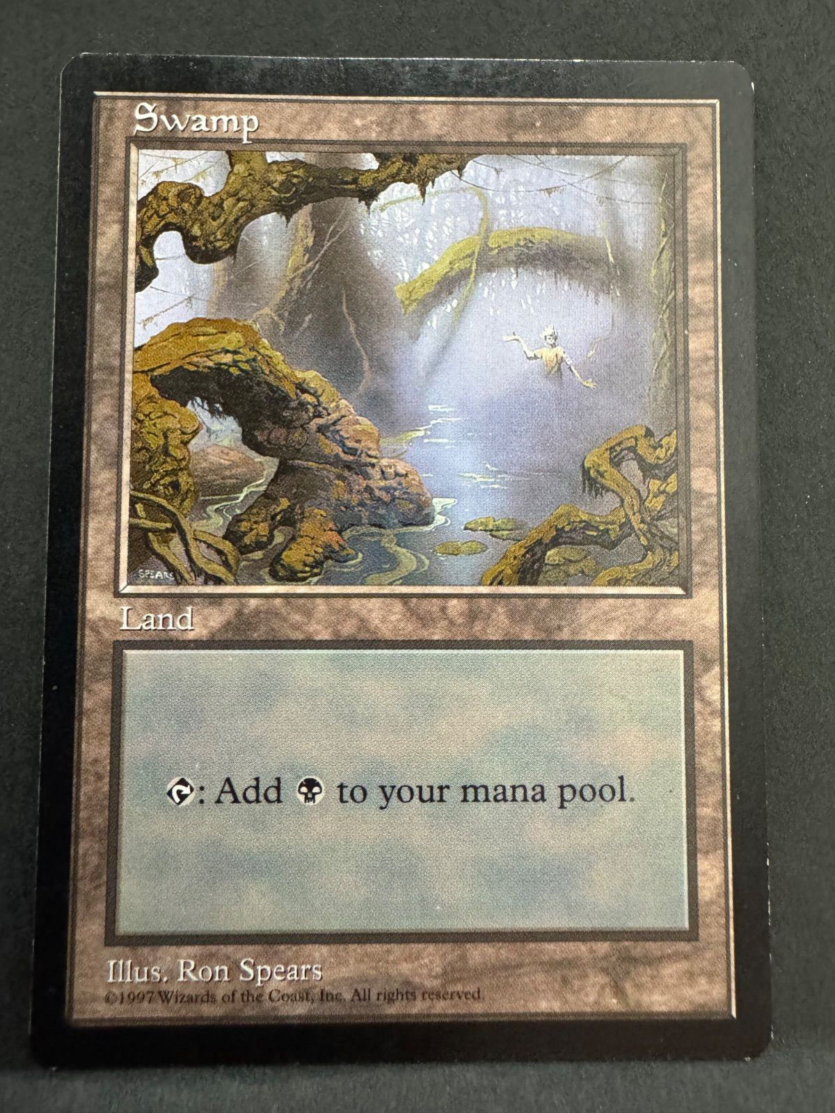 MTG 沼 swamp 英語 プロモ APACランド ron spears B APAC3 基本土地