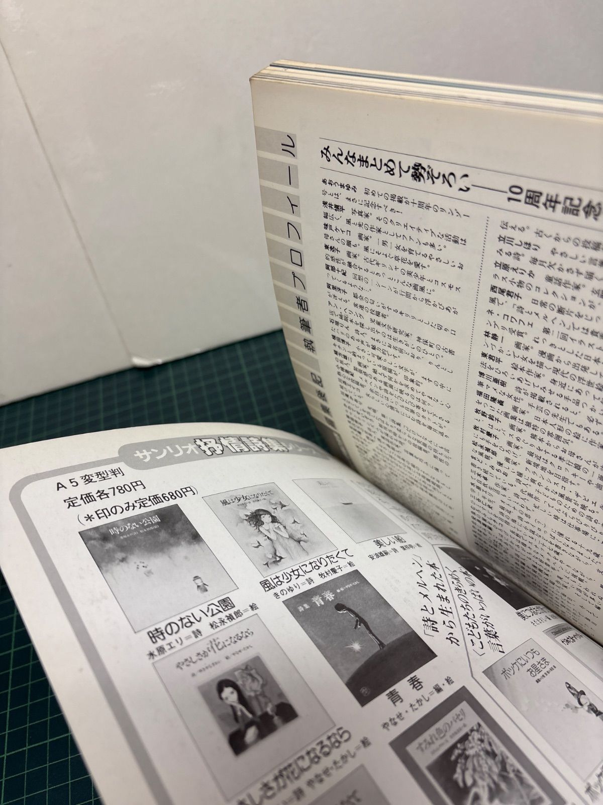 詩とメルヘン 創刊10周年記念 新しい抒情の世界 昭和58年 1983年 臨時