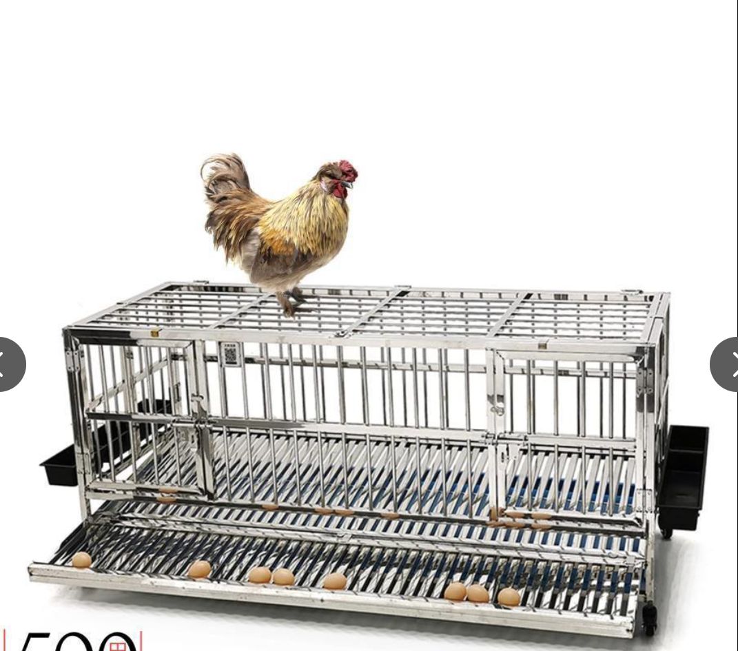 大好評 折りたたみ式ステンレス製レイヤーケージ 自動で卵を集める アンチペッキングエッグ鶏小屋 繁殖鶏ケージ シャシー イーティングトラフ ユニバーサルホイ