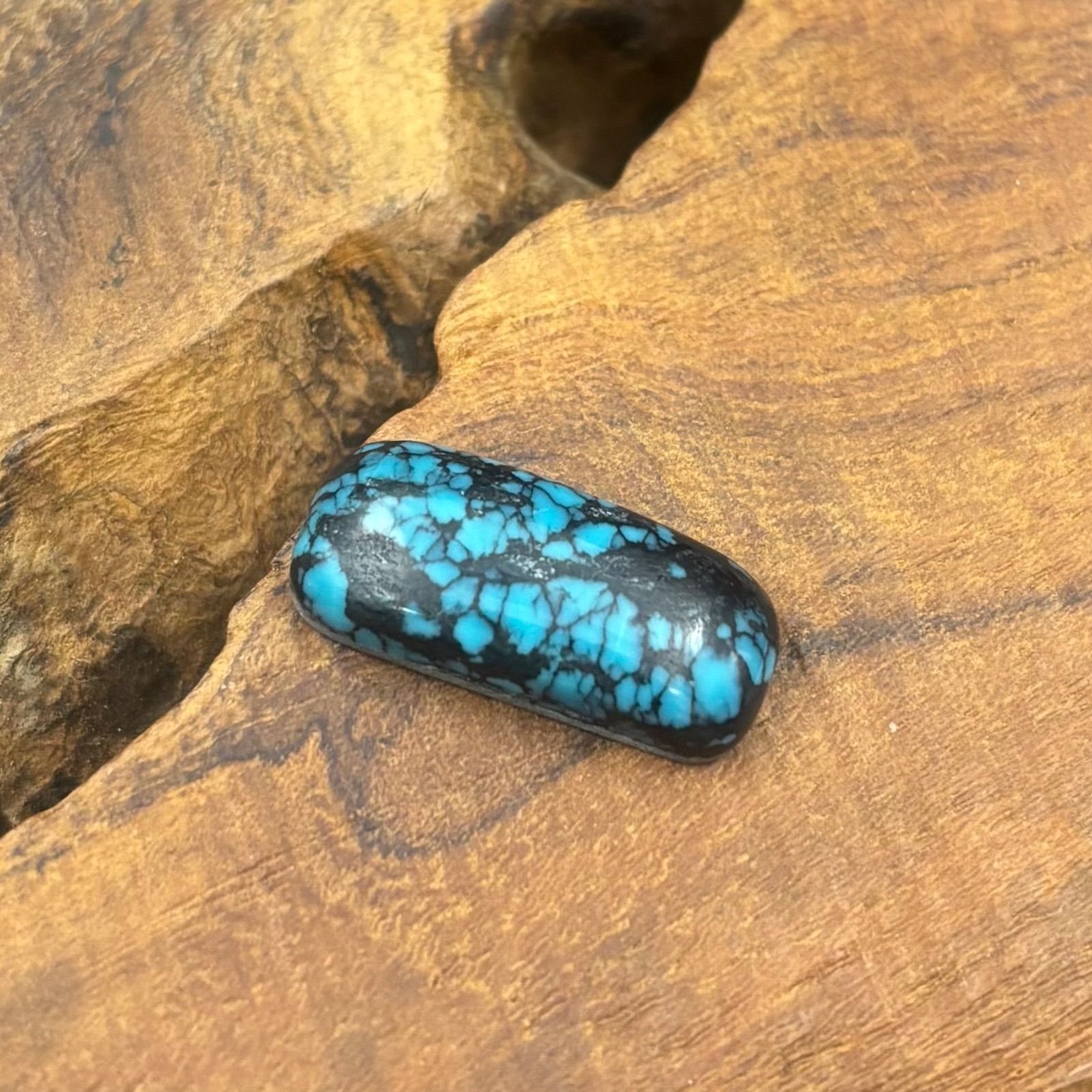 ターコイズ　スパイダーウェイブ 人気者☆スパイダーウェブターコイズ ブラックウェブ Turquoise