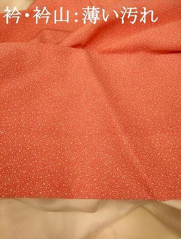 平和屋着物□伝統工芸士 関正三郎 江戸小紋 訪問着 雲取り花唐草文