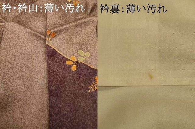 平和屋着物□訪問着 枝葉舞蝶文 金彩 正絹 逸品 AABE8755fw - メルカリ