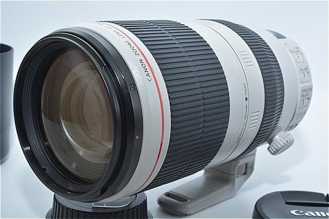 597 実用品 EF 100-400 mm F 4.5-5.6 L IS II USM
