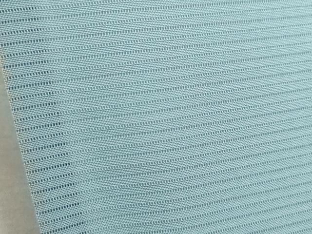  平和屋着物＊夏物 色無地 絽 水色 正絹 ze 色無地 着物