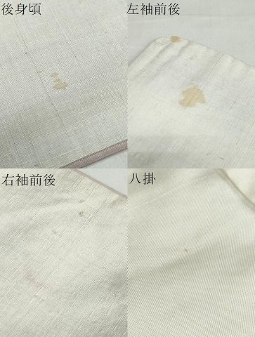  平和屋着物●小千谷紬 訪問着 群鶴草花文 正絹 ud 紬 着物