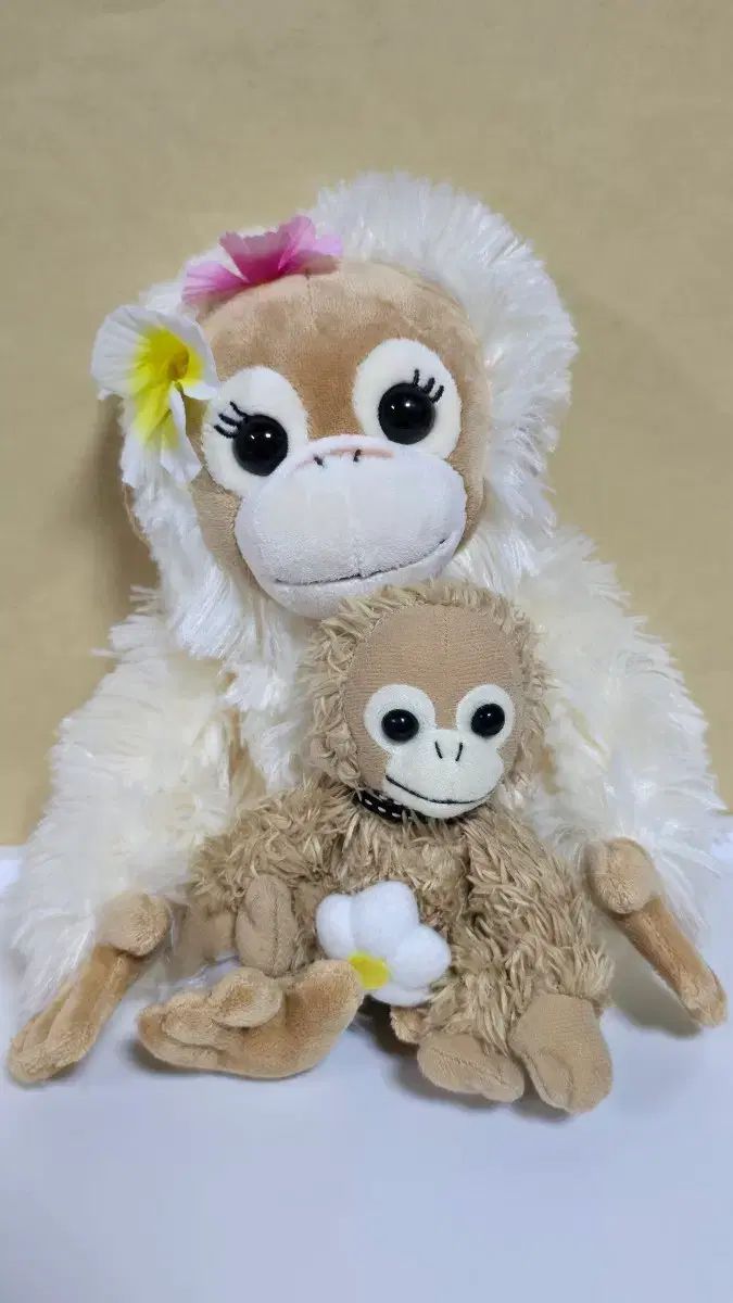 ベイビーココ-ナッツ まとめて