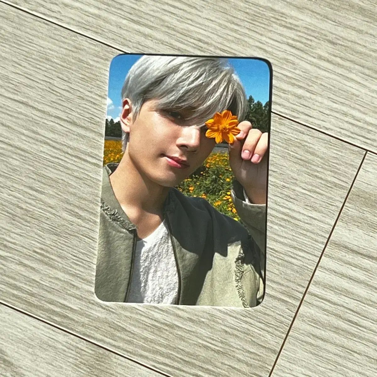 &team エンチーム　韓国　ショーケース　トレカ　コンプ &team エンチーム 韓国 ショーケース トレカ コンプ TEAM-13.jpg