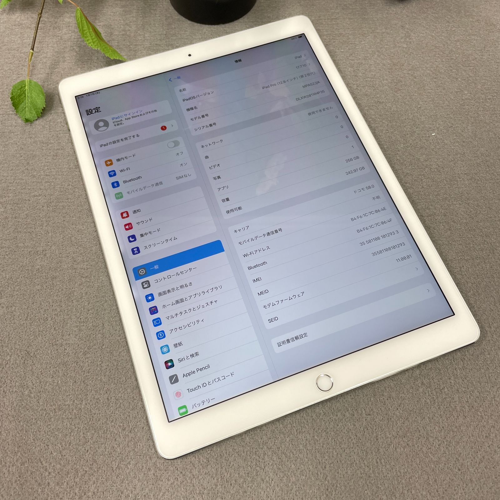 iPad Pro 12.9インチ 第2世代 256 GB Wi-Fi Cellularモデル
