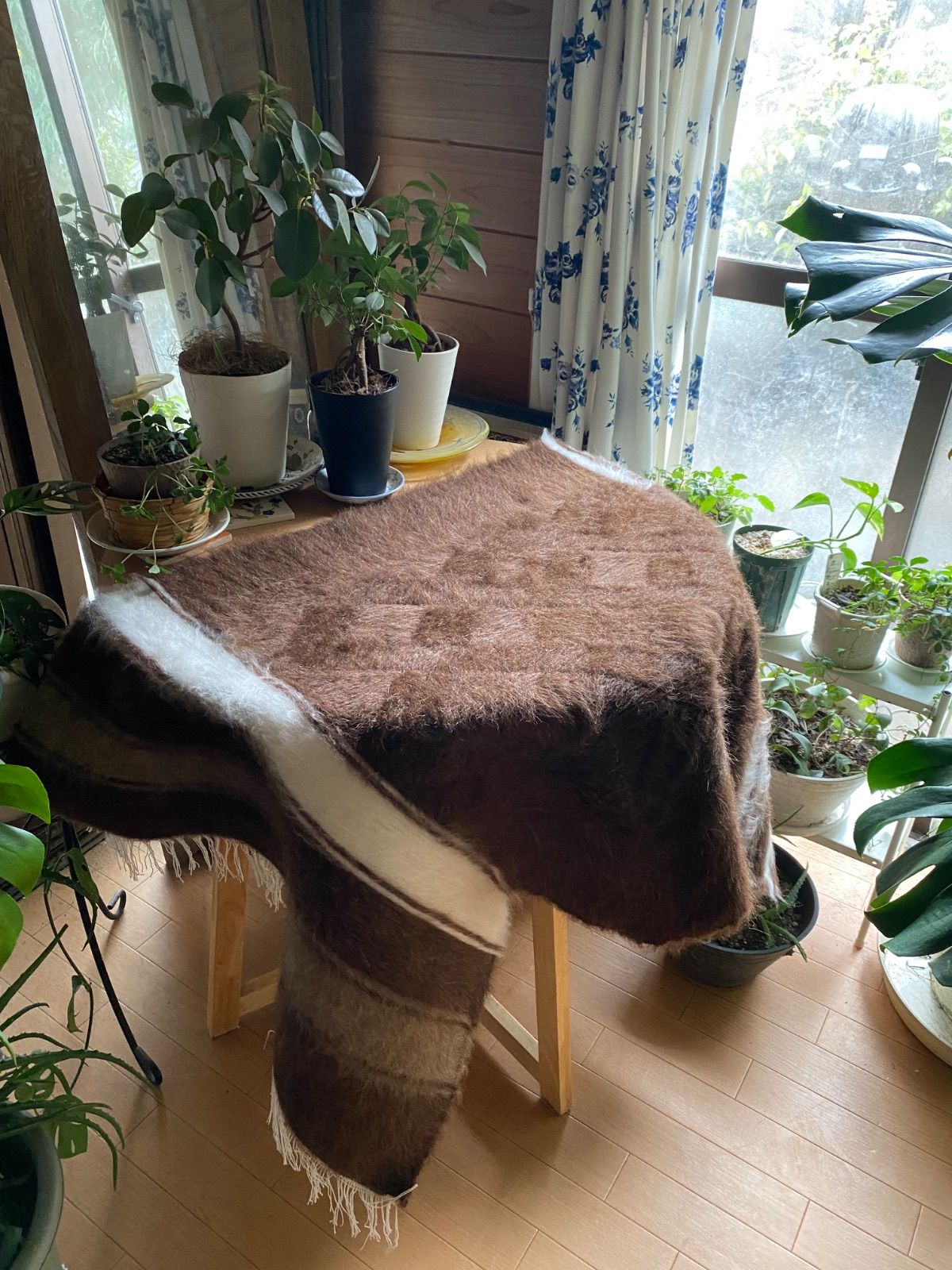 オールド　シイルトバッタニエ siirtgazou.jpg オールド シイルトバッタニエ