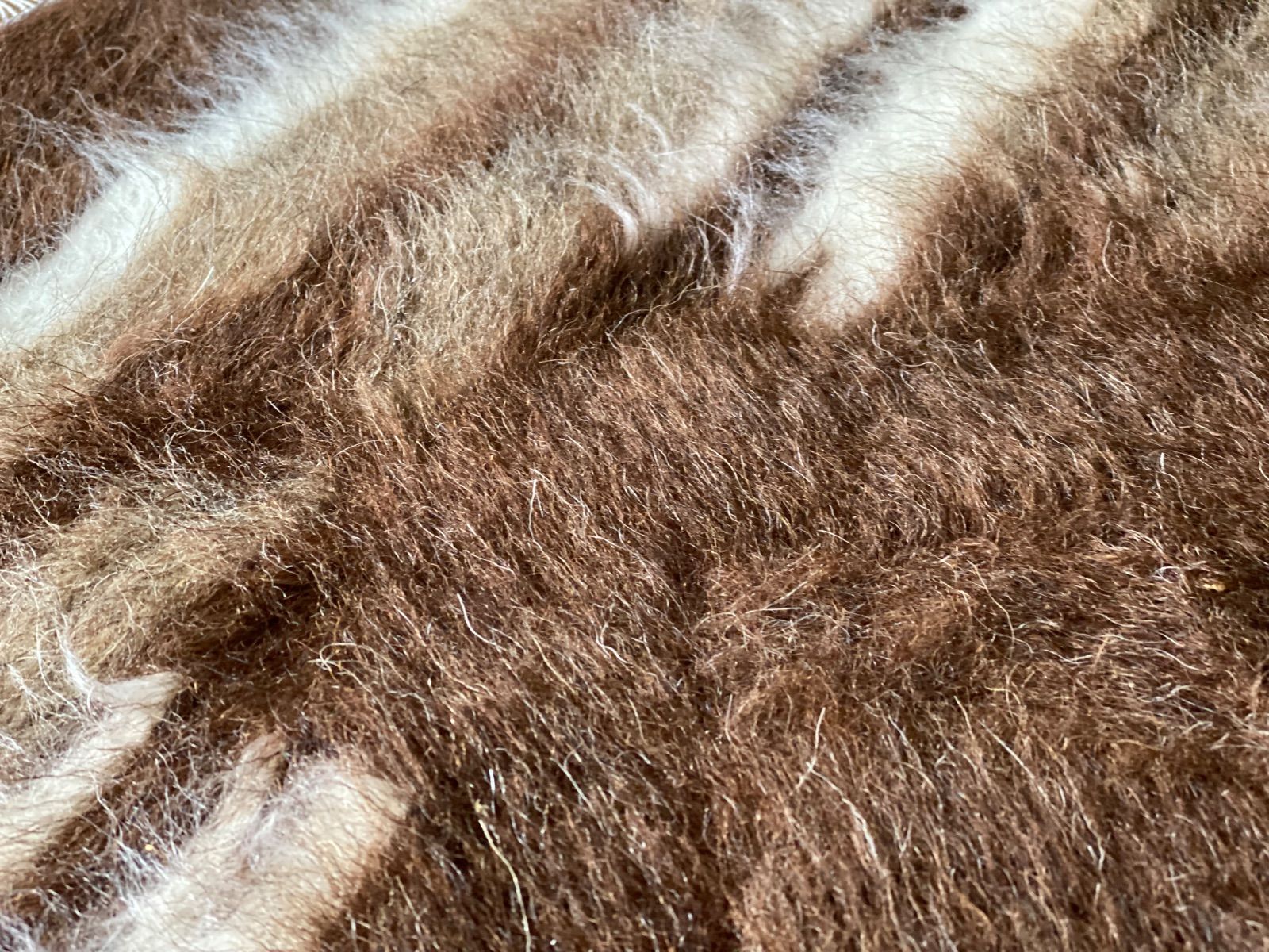 新しいシイルトバッタニエ！上部2色使い！チョコレートとベージュ