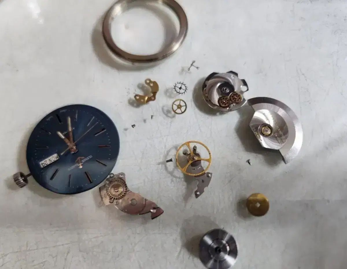 ユリス ナルダン