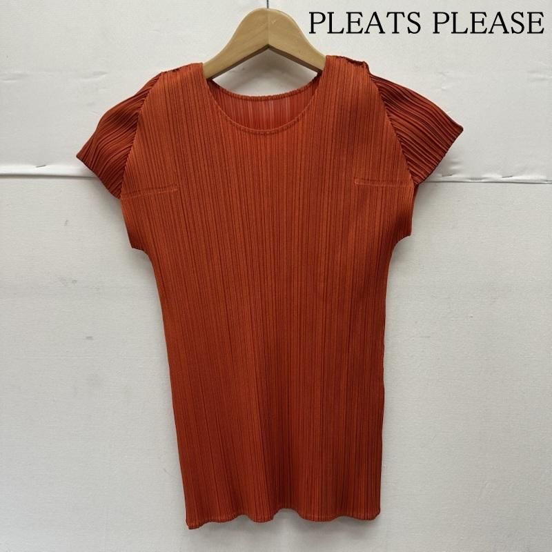 プリーツプリーズ ISSEY MIYAKE クルーネック プリーツ カットソー PP 01-JK 225 レディース 3 ISItems 古着