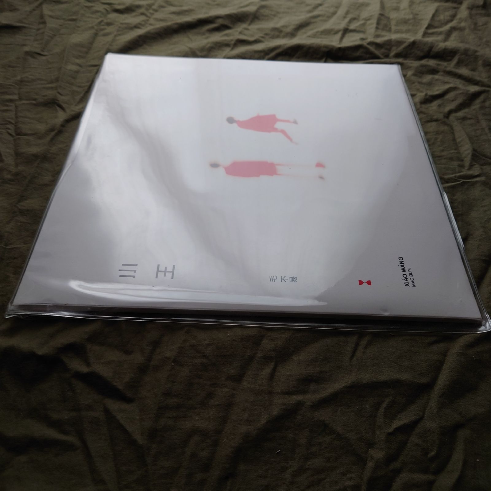 未開封新品 レア盤 2021年 中国盤 毛不易 Mao Buyi (Weijia Wang) LP