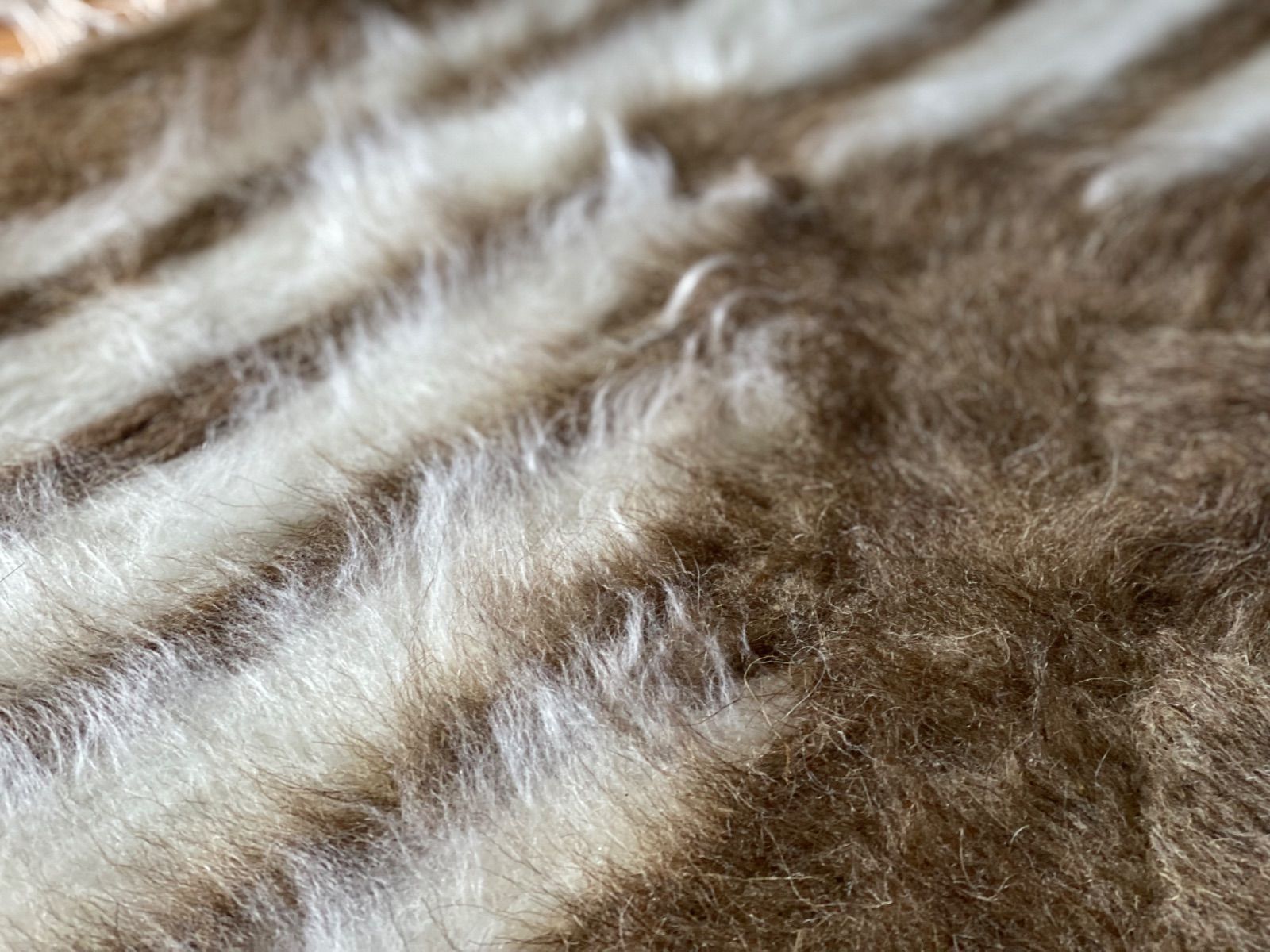 新しいシイルトバッタニエトルコシイルトのみで織られるアンゴラヤギの