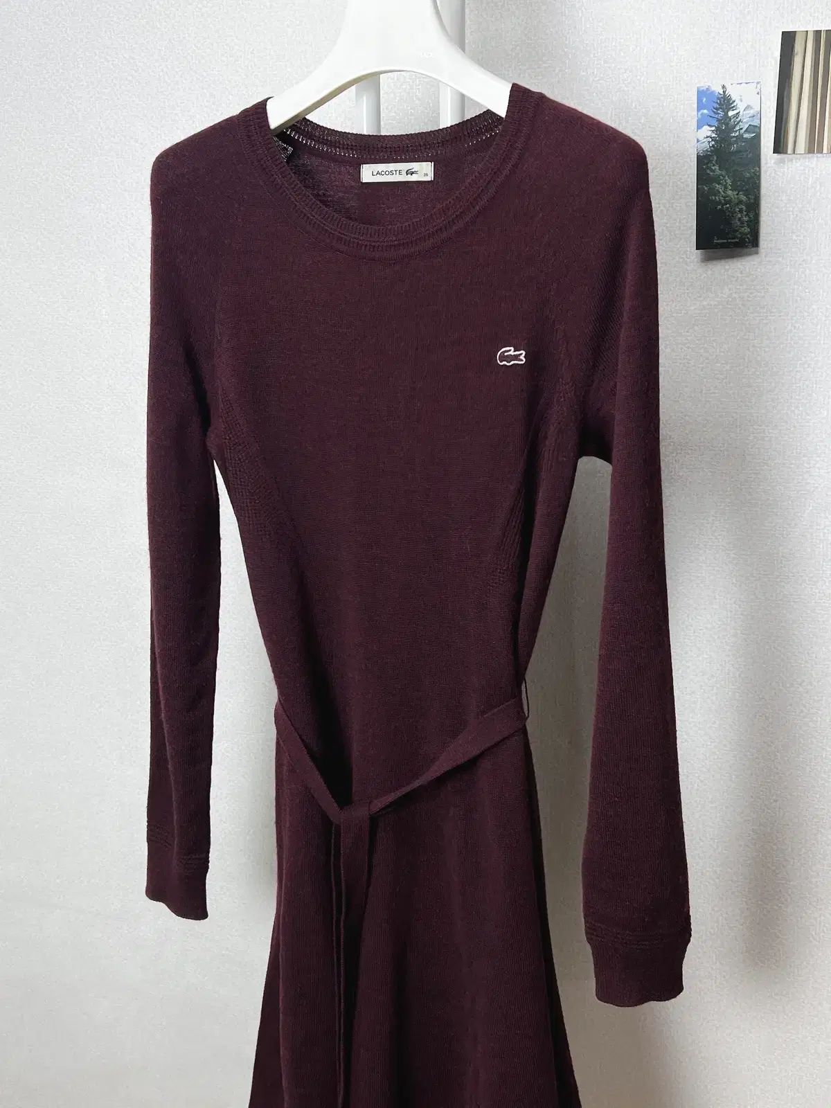 ラコステ ニット ONE PIECE 95