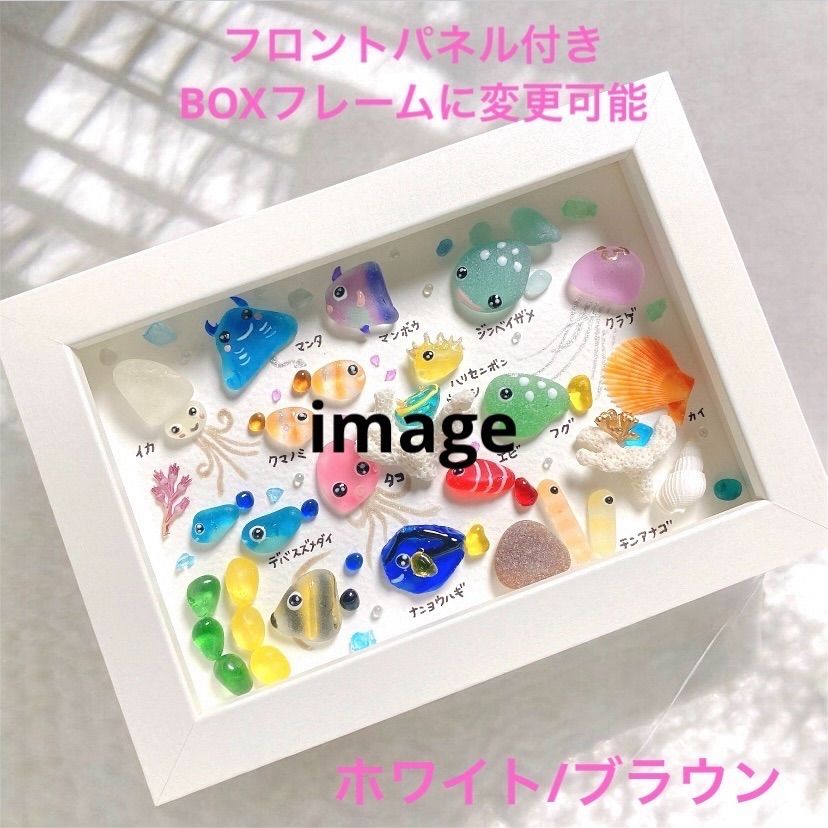 クーポンあり❣️アオリイカ♡シーグラスアート ガラスアート 海