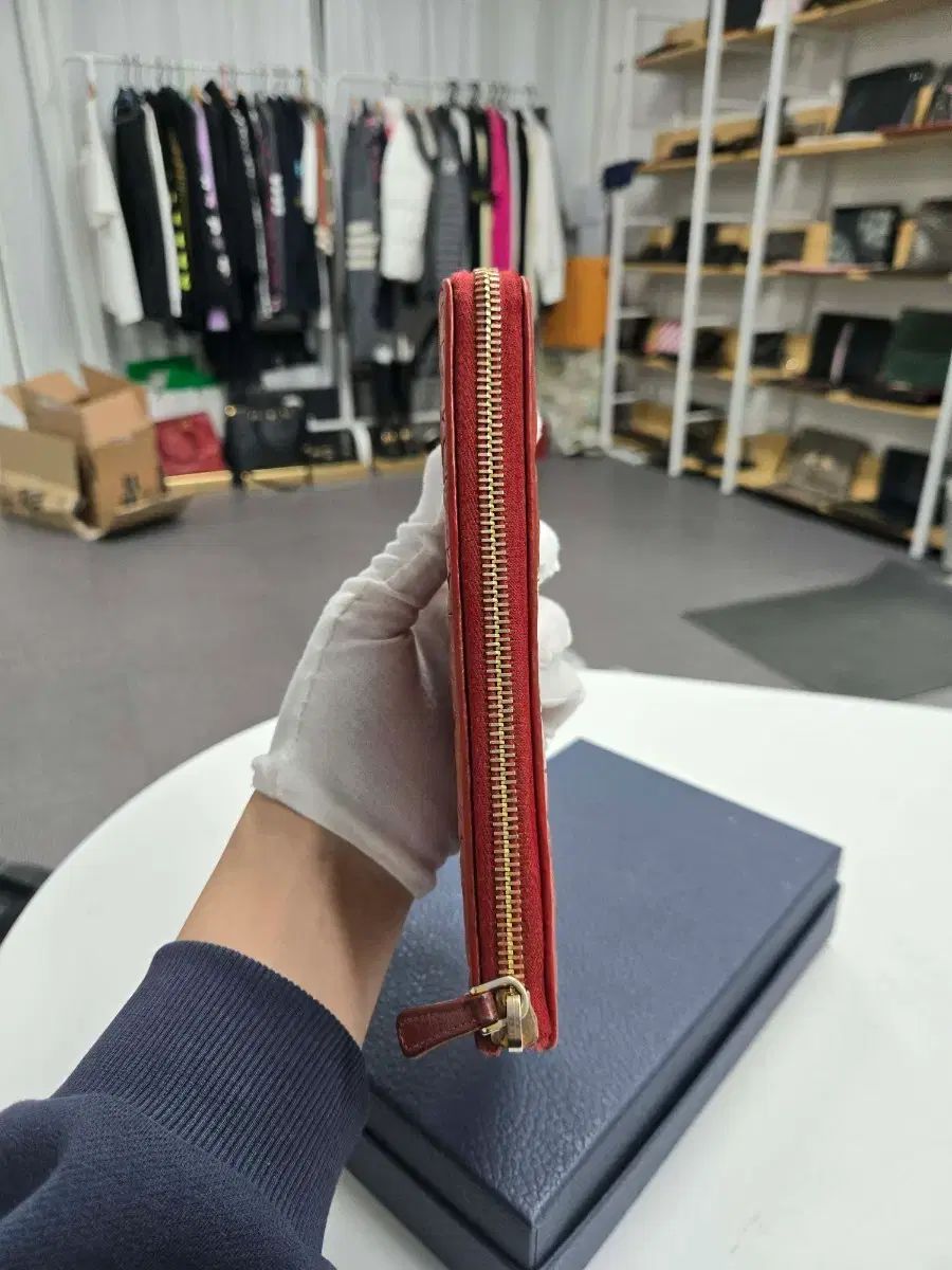 A級コンディション ミュウミュウ