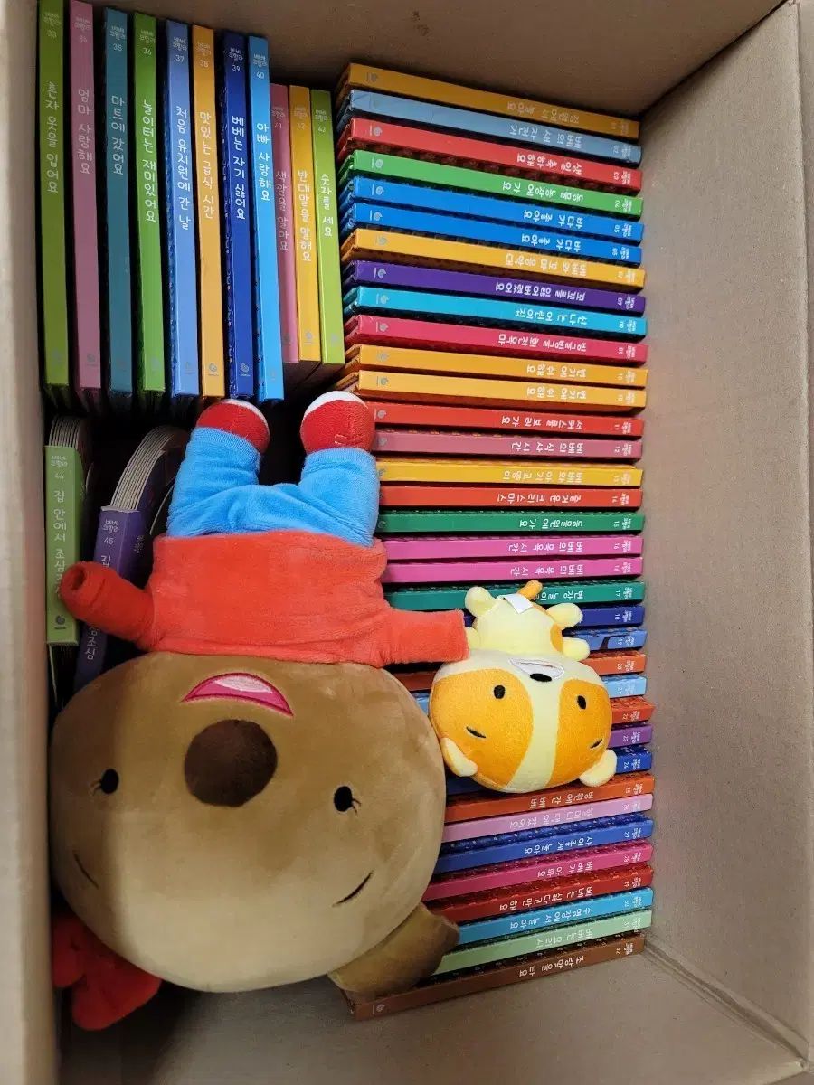 ベベコアラ 全巻 45巻 ベベ アルピ ぬいぐるみ